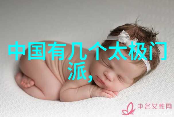 门派拳种龙形太极门