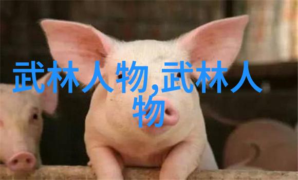 陈家沟太极奇人贺国英