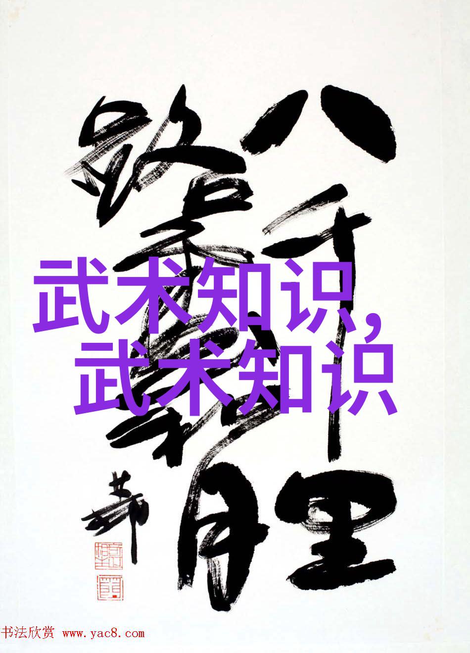 薛军武术的真谛在于重德-赵丛君