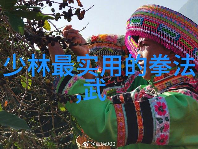 武当小循环功