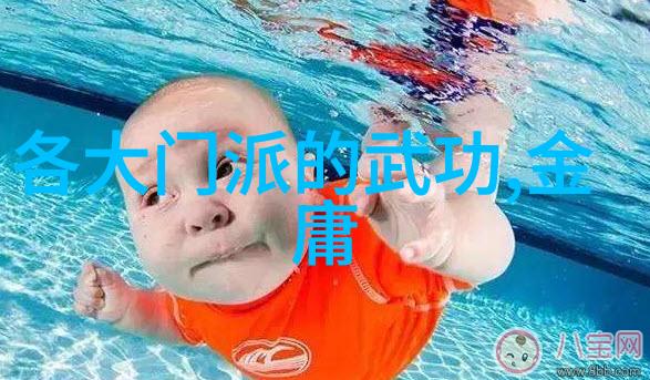 门派拳种龙门武学