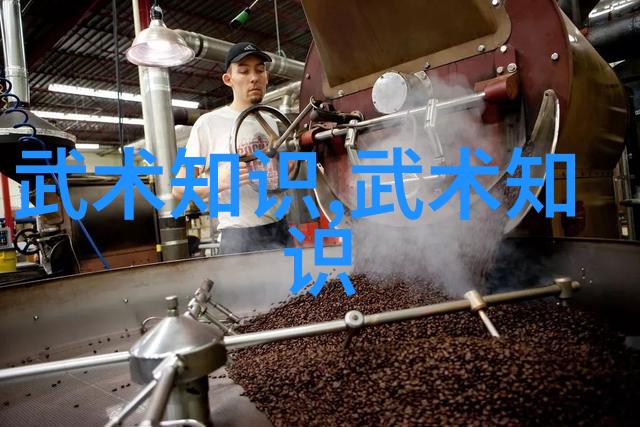 贵州省高校体育教育专业武术课程设置研究-唐涌 李修萌