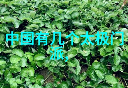 门派拳种儒家拳