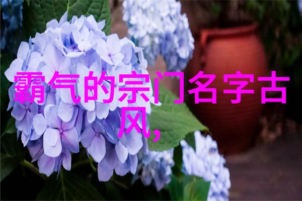 门派拳种少林洪门武功