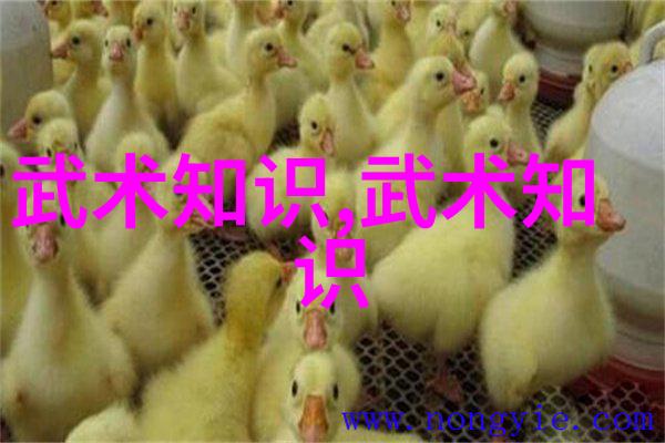 马与武术-祁美娟