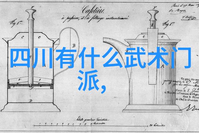门派拳种新疆72式迷踪艺