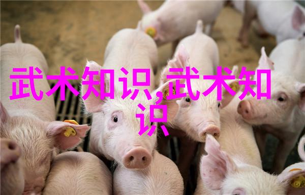 论武术基本功和基本动作在武术运动中的作用