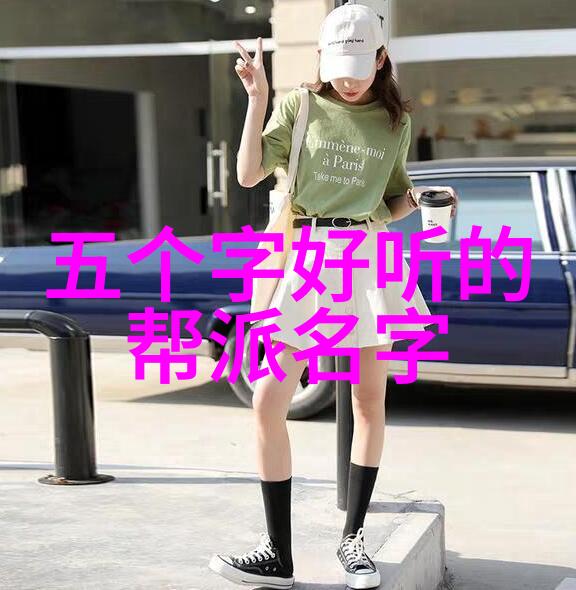 门派拳种藏拳