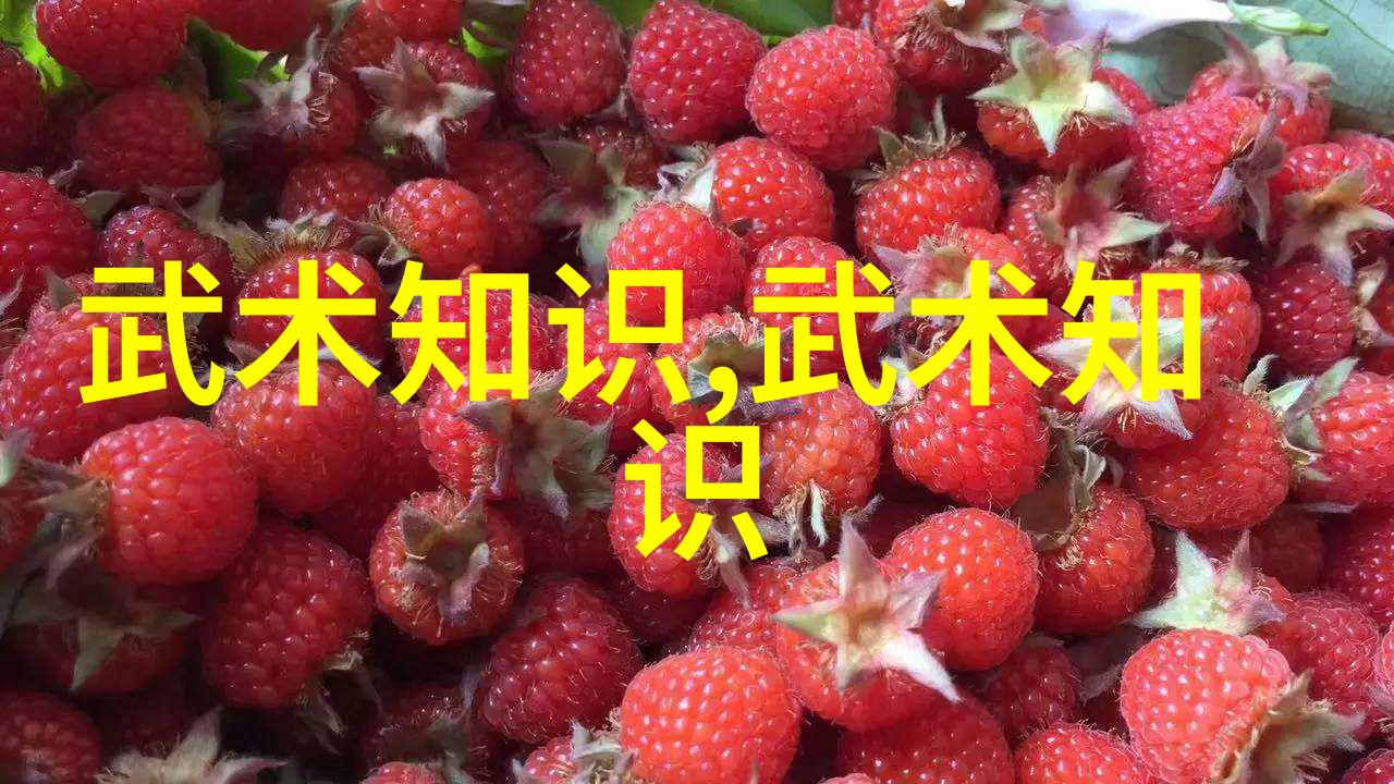 中国古代武术步法训练