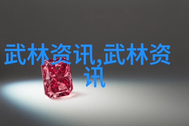 上海尚体武苑习武孩子长大了想要做一名武术老师