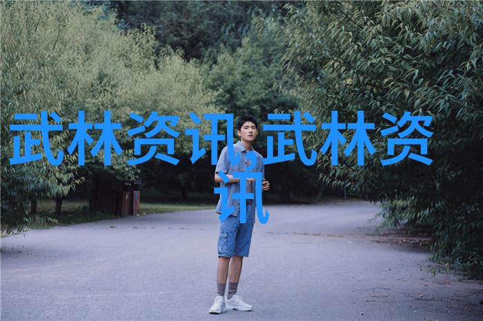 2015惠阳第二届传统武术大赛暨武术微电影开机仪式将于12月举行