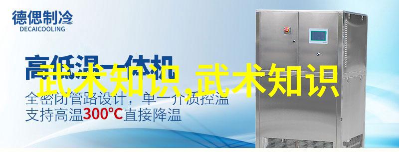 谈谈武术中的功夫-杨荣凤