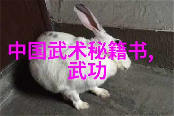 速成铁肚功