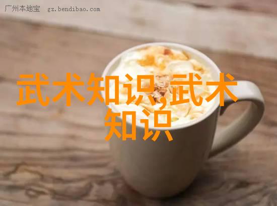 逆境中前行中华传统武术理性化的选择与定位