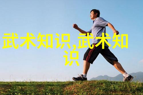 武术基本功