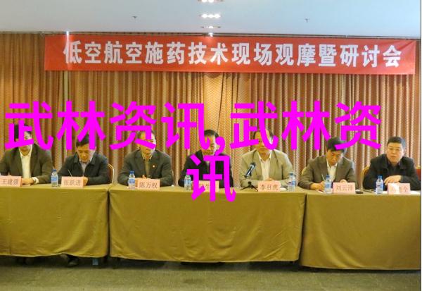 2015年海南省武术公开赛在万宁开幕 700多人参加