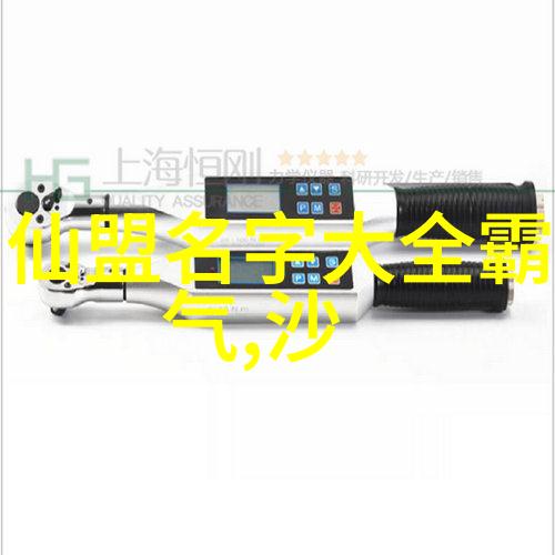 门派拳种祁式五行通背拳