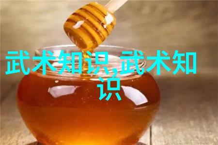 浅析中西方纪录片视角下的武术传播-傅智 张晶