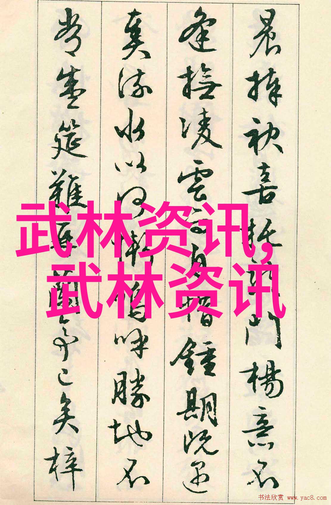 上海市闵行区太极协会古美分会传统杨氏二十八式太极拳提高班结束