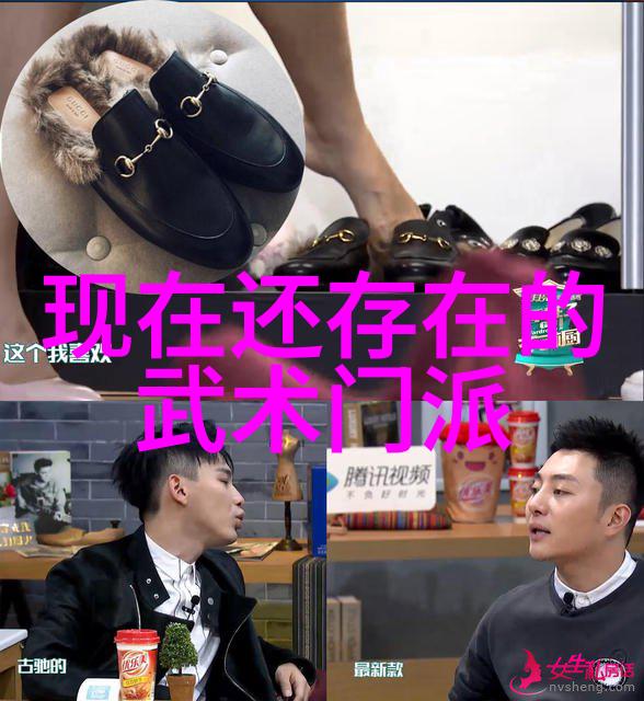 门派拳种陈式太极拳