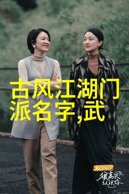 门派拳种龙行太极拳